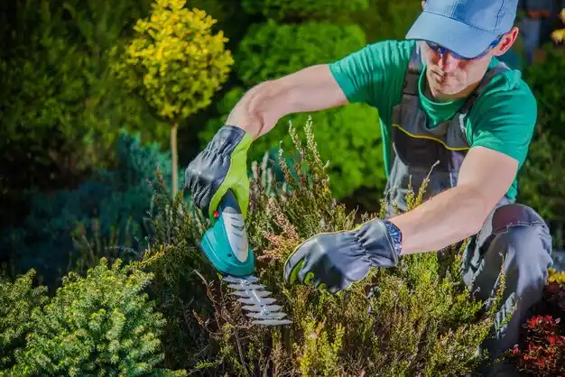 landscaping services Smiths Grove